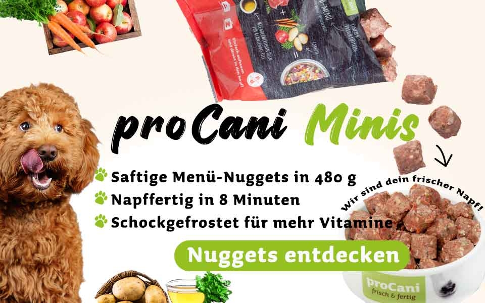 zu den proCani Komplettmenü Nuggets - 480g Minis